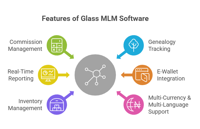 Glass MLM Software for Scalable and Efficient MLM Growth